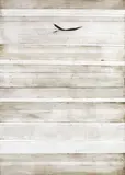 Simon Kaan, Untitled - Manaia