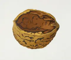Walnut by Michael Smither, screenprint, 1/50, offered Dec 2009