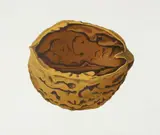Michael Smither, Walnut, screenprint, 1/50