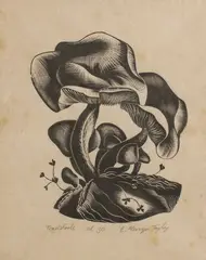 Toad Stools by Ernest Mervyn Taylor, wood engraving, edition of 30, offered Dec 2009