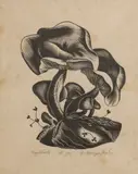 Ernest Mervyn Taylor, Toad Stools
