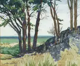 Colin Vernon Wheeler, A View of the Coast