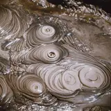 Theodorus Johannes Schoon, Waiotapu Mud Pool Study