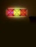 Niki Hastings-McFall, Sweet Little Kisses, lei flowers and lightbox