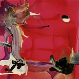 Dale Frank, It's a whole new world that we live in/maintain muscle mass/Nelson Landscape