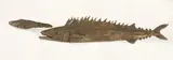 Elizabeth Thomson, Two Barracuda, cast bronze, two parts