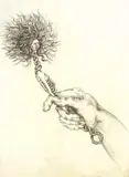 Sylvia Siddell, Untitled, pencil on paper