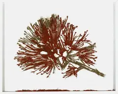 Yuk King Tan, Pohutukawa, media mixed