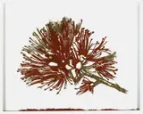 Yuk King Tan, Pohutukawa, media mixed