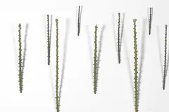 Elizabeth Thomson, Study for Abstract Planting, patinated bronze and gesso on board