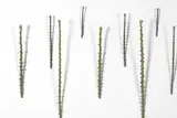 Elizabeth Thomson, Study for Abstract Planting, patinated bronze and gesso on board