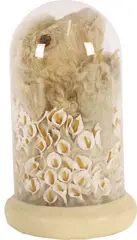 Angela Singer, Untitled, mixed media
