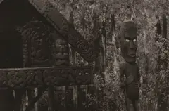 Whakarewarewa by Peter Peryer, gelatin silver print, offered Jun 2009