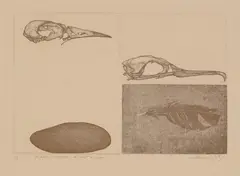 Barry Cleavin, Of Birds, Of Feather, Of Stone Or Crow, etching, 2/15