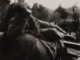 Ans Westra, No. One (Youth Asprawl on Horse)