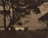 George Chance, Pohutukawa Trees - Bay of Plenty, gelatin silver print exposed through a textured screen