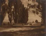 George Chance, Autumn Day - South Canterbury, gelatin silver print exposed through a textured screen