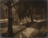 George Chance, Spring Morning - Avon, Christchurch, gelatin silver print exposed through a textured screen