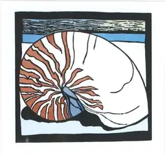 Nautilus by Robin White, lithograph, 14/30, offered Apr 2009