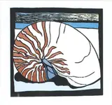Robin White, Nautilus