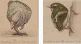 Russell Jackson, Takahe together with NZ Rifleman, two etchings, 68/150 and 48/75