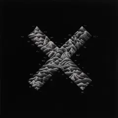 X by Tony de Lautour, acrylic on canvas, offered Apr 2009