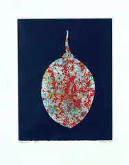 Tamarillo by Pat Hanly, screenprint, 7/14, sold Dec 2008