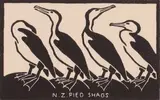 J. L Moore, NZ Pied Shags, woodblock print