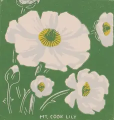 J. L Moore, Mt Cook Lily, colour woodblock print