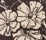 J. L Moore, Mt Cook Lily, woodblock print