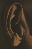 Tony Fomison, Ear (No. 65)