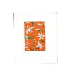 Andrew McLeod, Orange Lily