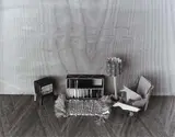 Marie Shannon, Domestic Animals
