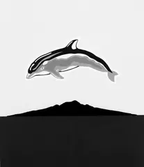 Rangitoto by Wong Sing Tai, screenprint, 38/100, sold Aug 2008