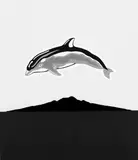 Wong Sing Tai, Rangitoto, screenprint, 38/100
