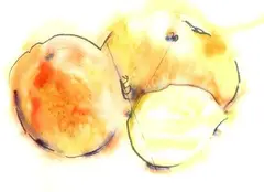 Joanna Harris, Still Life with Orange, watercolour and pastel on paper