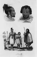 L A de Sainson, Homme, Race Mongolique, hand-coloured lithograph, plate 218 from Voyage de lAstrolabe, c.1833