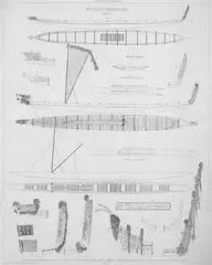 L A de Sainson, Souvenirs de marine conserves, lithograph, plate 329 from the Atlas Voyage de lAstrolabe