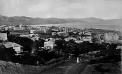 James Bragge, Wellington from Kelburn, gelatin silver photograph, c.1880