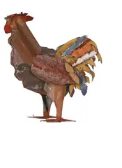 Jeffrey Thomson, Rooster, corrugated iron