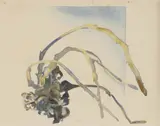 Rita Angus, Still-Life