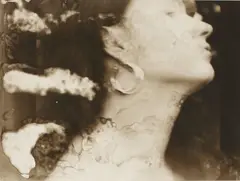 Untitled by Fiona Pardington, gelatin silver print, offered Jun 2008