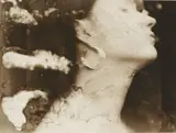 Fiona Pardington, Untitled