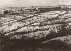 Moutere Hills by Laurence Aberhart, gelatin silver print, sold Jun 2008