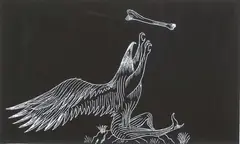 Bill Hammond, Bone Eagle B, etching, 8/25