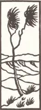 John L. Moore, Cabbage Tree, woodblock print