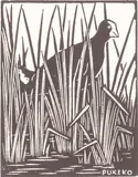 John L. Moore, Pukeko, woodblock print
