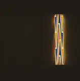 Michael Parekōwhai, The Bosom of Abraham, screenprinted vinyl on fluorescent light housing