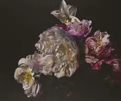 Pamela Wolfe, Effulgence, oil on linen