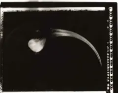 Fiona Pardington, Small Portrait of a Fugitive, gelatin silver print, 1/7